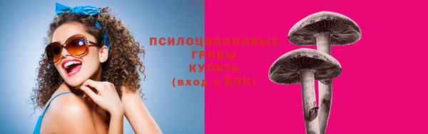 МДМА Ельня