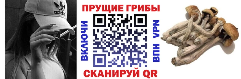 Галлюциногенные грибы мицелий  Купить  Инсар 